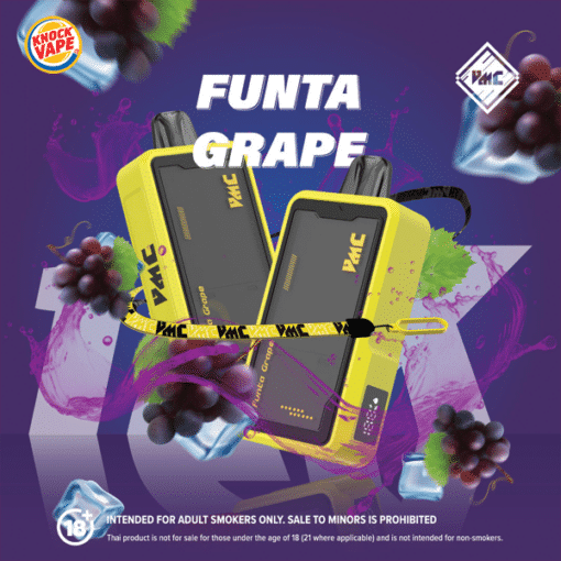 VMC 12000 Puffs - Funta Grape