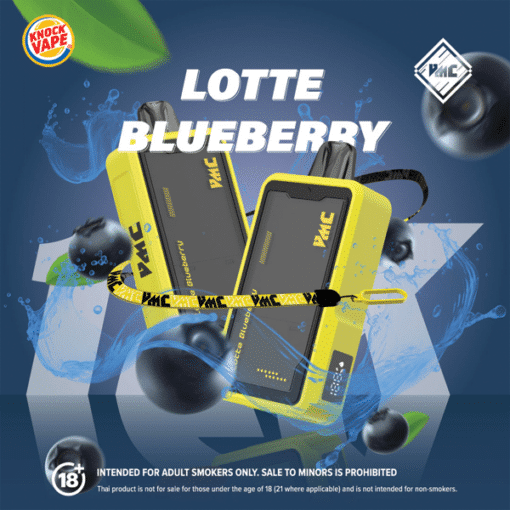 VMC 12000 Puffs - Lotte Blueberry
